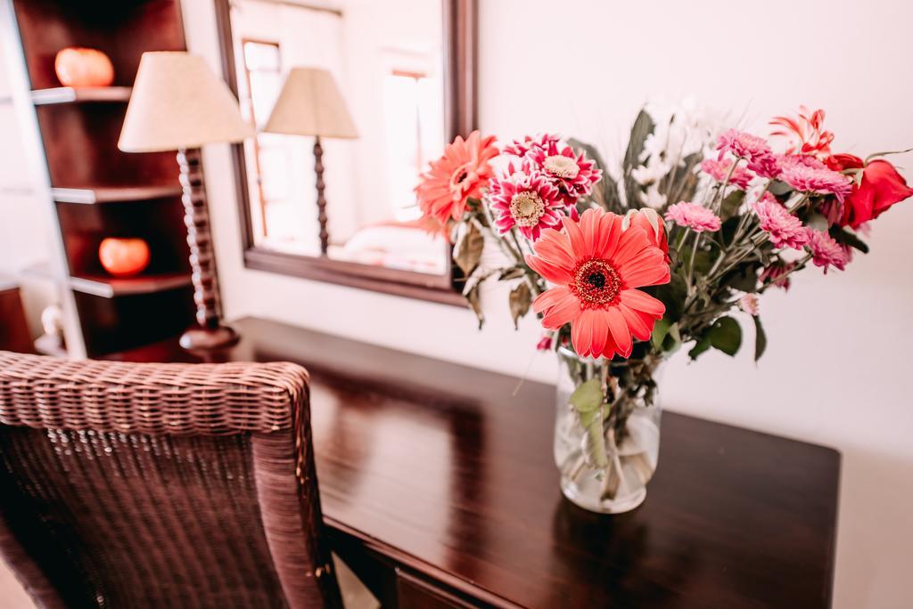 La Vista Lodge Плетенбърг Бей Екстериор снимка